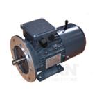TEC Foot and flange mountable aluminium electric motor